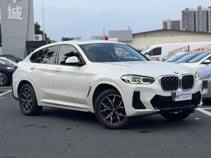 BMW X4 2022 Model xDrive 30i M Sports Set – фото 3