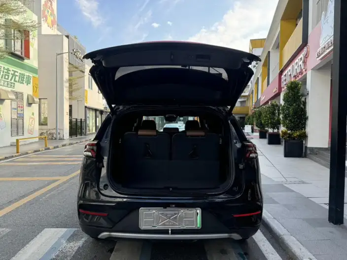 BYD Tang DM 2021 Model DM-i 1.5T 112KM Noble Model – фото 9