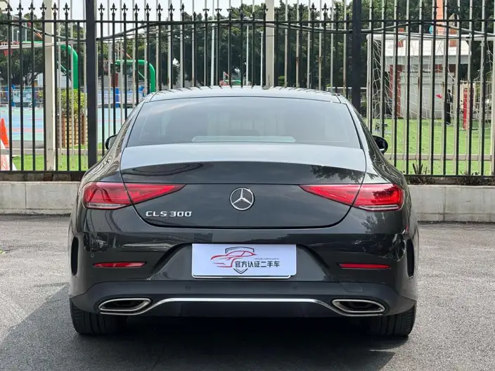 Mercedes-Benz CLS 2021 Model CLS 300 Dynamic Model – фото 5