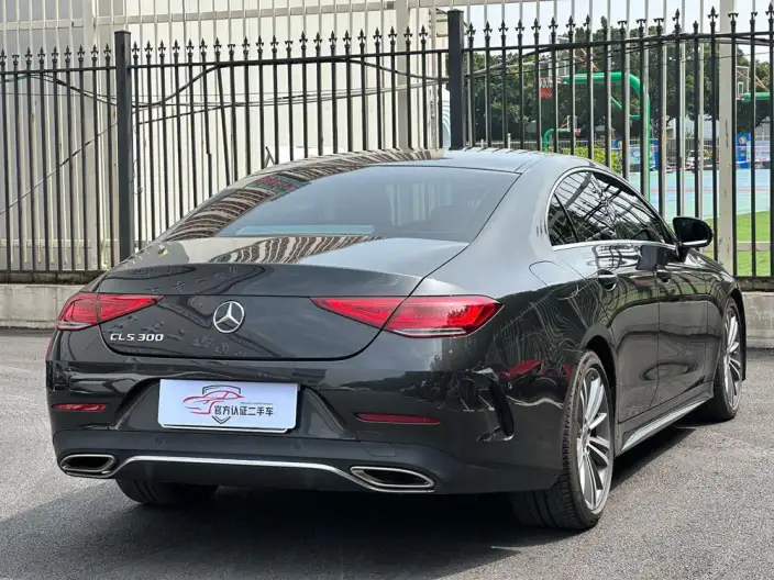Mercedes-Benz CLS 2021 Model CLS 300 Dynamic Model – фото 6