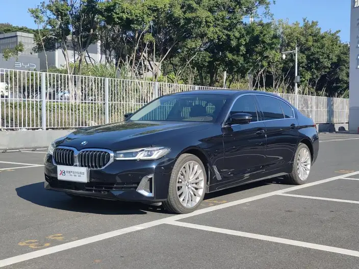 BMW 5 Series 2021 Model 530Li Exclusive Model Luxury Set – фото 1