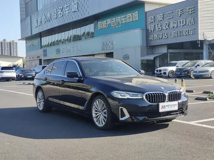 BMW 5 Series 2021 Model 530Li Exclusive Model Luxury Set – фото 3