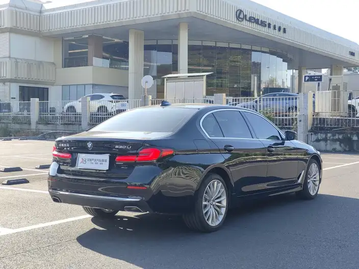 BMW 5 Series 2021 Model 530Li Exclusive Model Luxury Set – фото 7