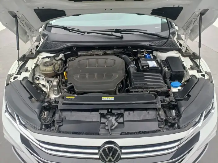 Volkswagen CC 2024 Model Hunting vehicle 380TSI Hunting Heart Edition – фото 10