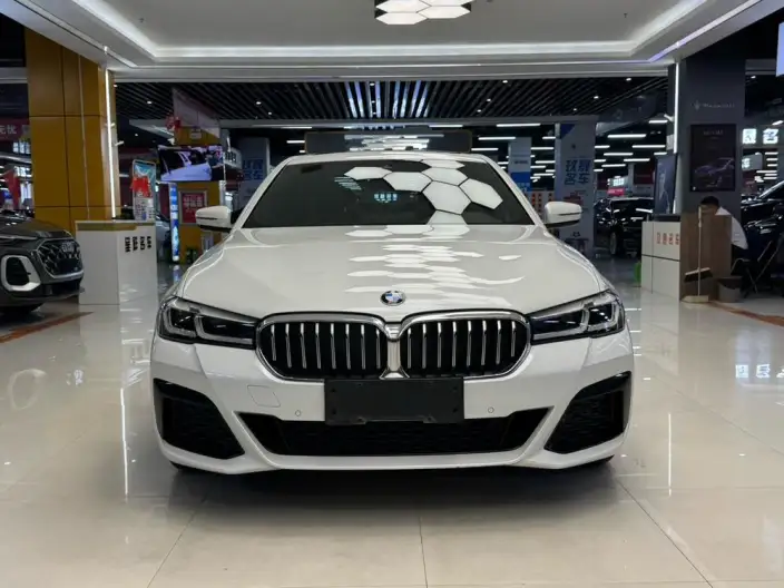 BMW 5 Series 2021 Model 530Li Leading Model M Sports Set – фото 2