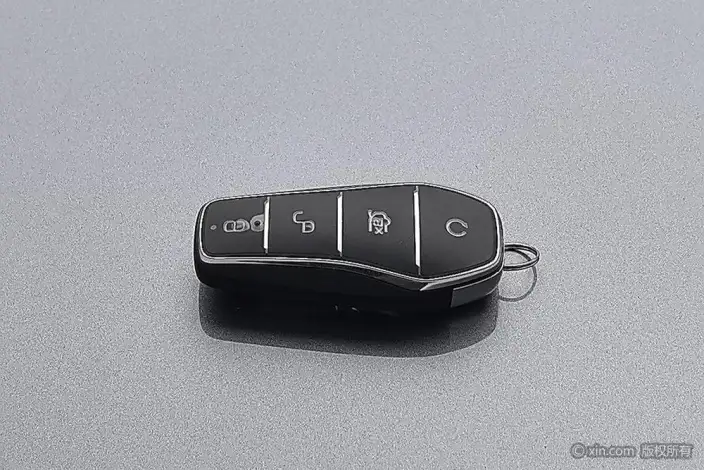 BYD Han DM 2022 Model DM-i 121KM Exclusive Model – фото 6