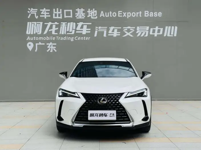 Lexus UX 2022 Model 260h Tan · Cool Edition – фото 2