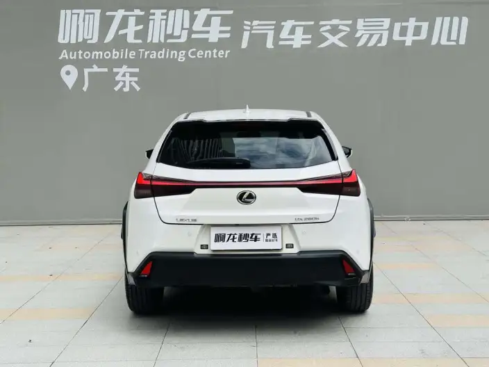 Lexus UX 2022 Model 260h Tan · Cool Edition – фото 6