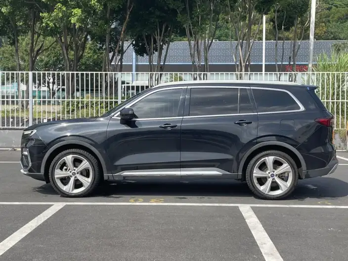 Lingyu 2021 Model EcoBoost 225 6 seat Zun Ling Model – фото 4