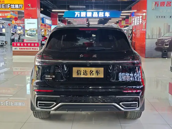 Hongqi HS5 2025 Model 2.0T 4WD Flag Xiang Pro Edition – фото 6