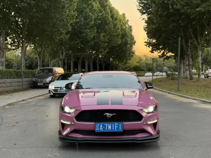 Mustang 2020 Model 2.3T EcoBoost