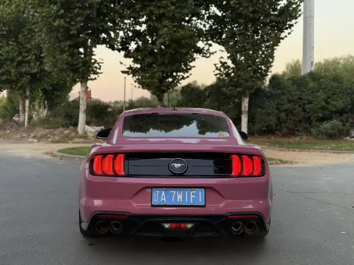 Mustang 2020 Model 2.3T EcoBoost – фото 5
