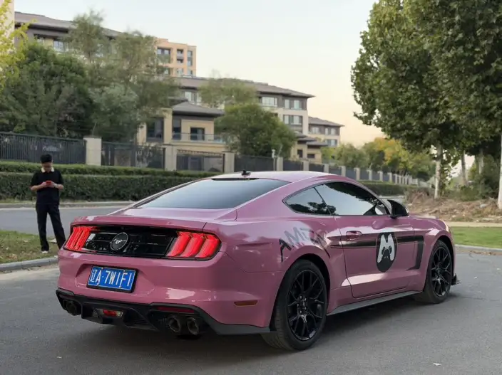 Mustang 2020 Model 2.3T EcoBoost – фото 6