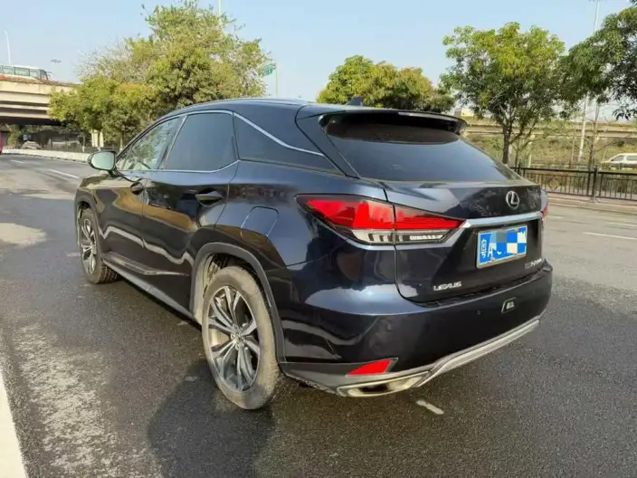 Lexus RX 2020 Model Facelift 300 4WD Elegant Edition – фото 4