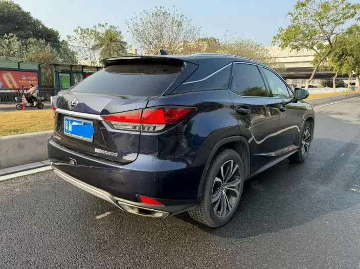 Lexus RX 2020 Model Facelift 300 4WD Elegant Edition – фото 5