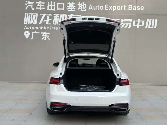 Audi A5 2024 Model Sportback 40 TFSI quattro Luxury Dynamic Model – фото 8