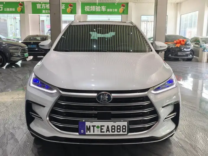 BYD Tang DM 2023 Model DM-i Champion Edition 112KM Exclusive Model – фото 2