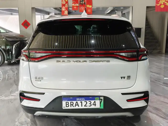 BYD Tang DM 2023 Model DM-i Champion Edition 112KM Exclusive Model – фото 5