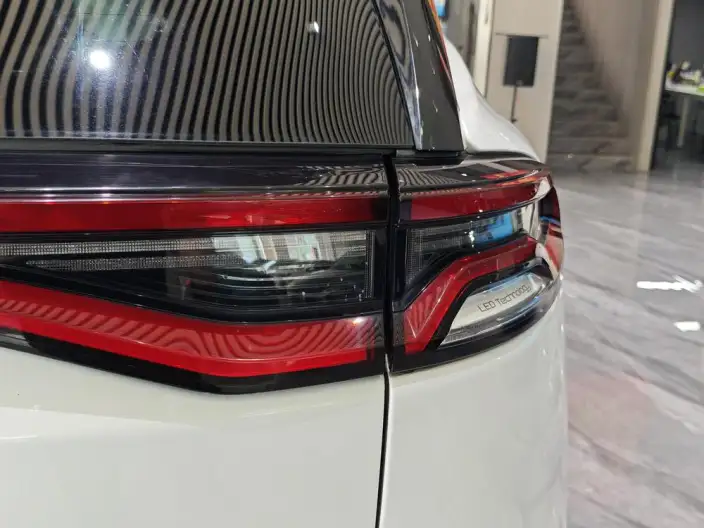 BYD Tang DM 2023 Model DM-i Champion Edition 112KM Exclusive Model – фото 9