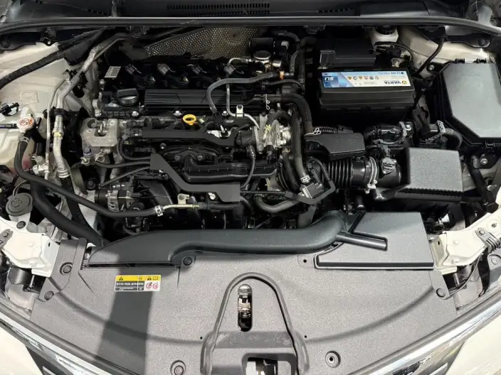 Asia Lion 2022 Model 2.0L Elite Edition – фото 7