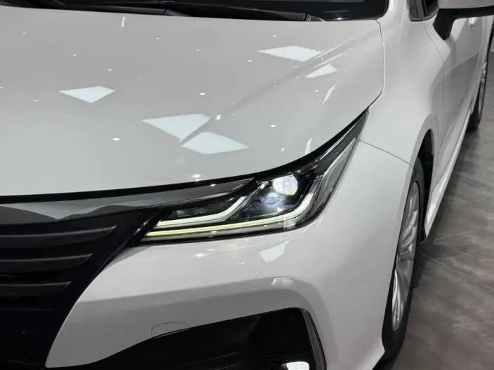 Asia Lion 2022 Model 2.0L Elite Edition – фото 9