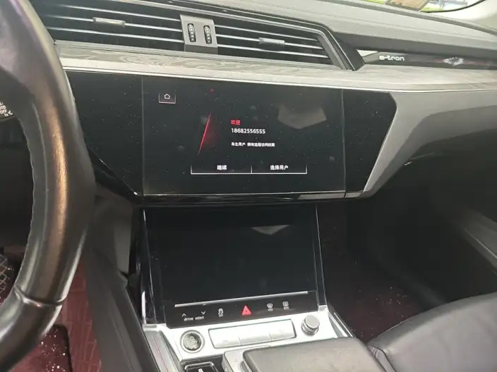 AUDI e-tron Sportback Imported 2021 Model 55 quattro Luxury Model – фото 8