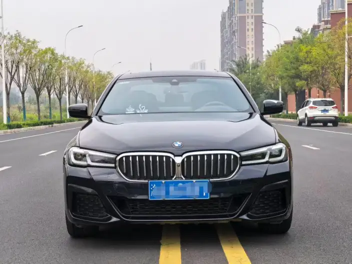 BMW 5 Series 2021 Model 530Li Exclusive Model M Sports Set – фото 2
