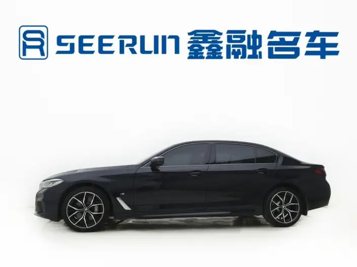 BMW 5 Series 2021 Model 530Li Exclusive Model M Sports Set – фото 4