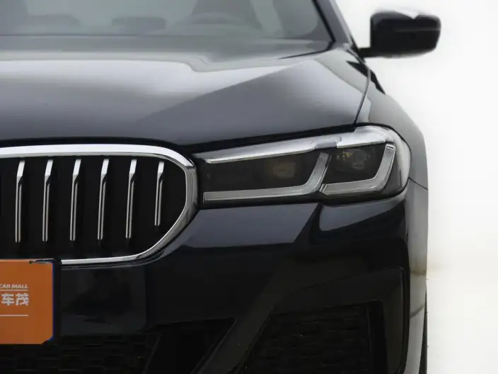 BMW 5 Series 2021 Model 530Li Exclusive Model M Sports Set – фото 10