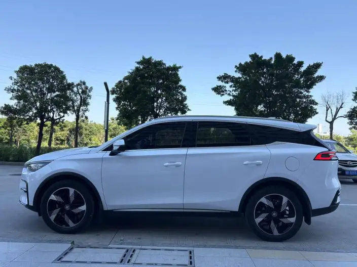 BYD Tang DM 2023 Model DM-i Champion Edition 112KM Exclusive Model – фото 3