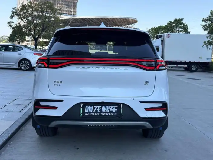BYD Tang DM 2023 Model DM-i Champion Edition 112KM Exclusive Model – фото 4