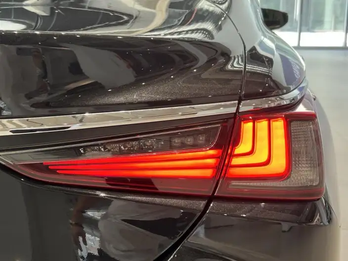 Lexus ES 2021 Model 200 Deluxe Edition – фото 8