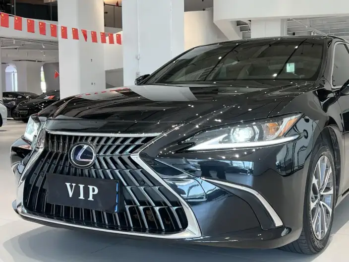 Lexus ES 2021 Model 200 Deluxe Edition – фото 10