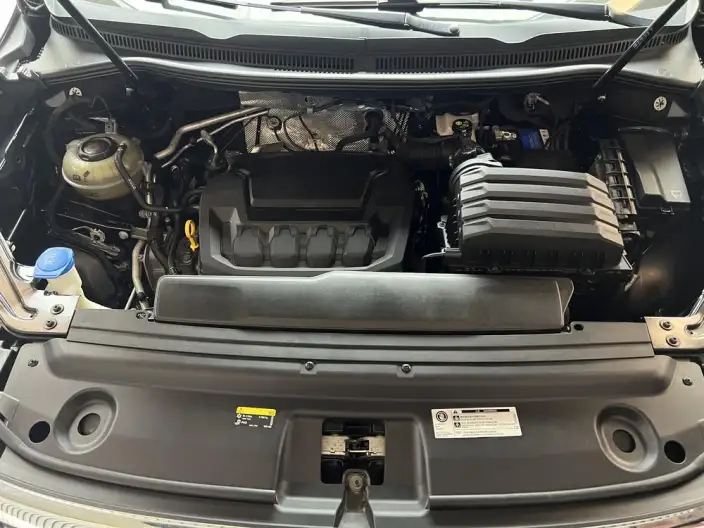 Viloran 2023 Model Facelift 330TSI Business Edition – фото 6