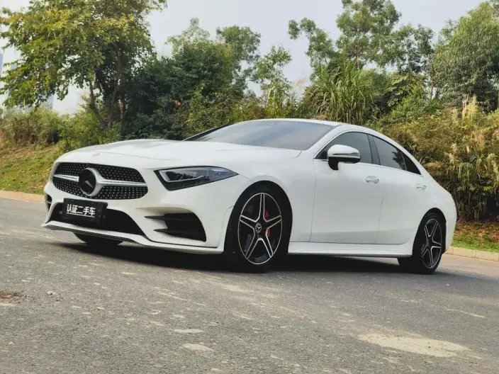 Mercedes-Benz CLS 2021 Model CLS 300 Luxury Model – фото 1