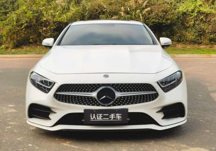 Mercedes-Benz CLS 2021 Model CLS 300 Luxury Model – фото 2