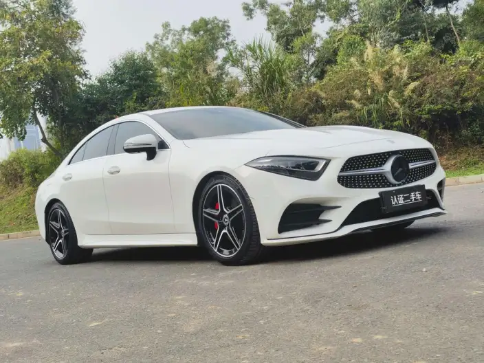 Mercedes-Benz CLS 2021 Model CLS 300 Luxury Model – фото 3