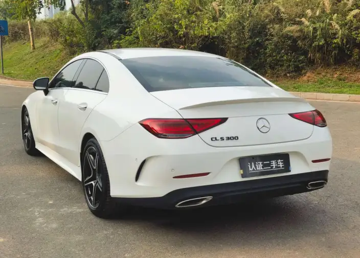 Mercedes-Benz CLS 2021 Model CLS 300 Luxury Model – фото 5