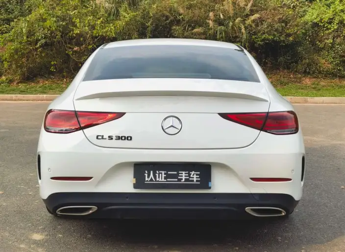 Mercedes-Benz CLS 2021 Model CLS 300 Luxury Model – фото 6