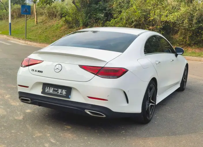 Mercedes-Benz CLS 2021 Model CLS 300 Luxury Model – фото 7