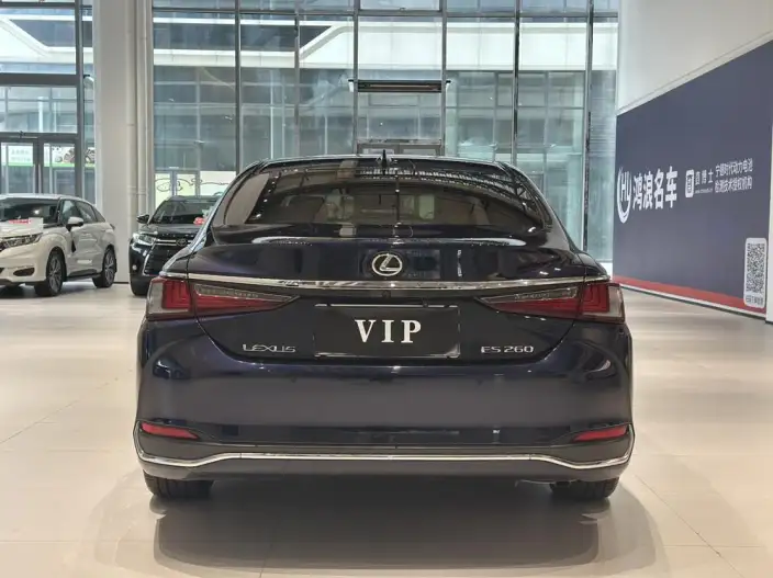 Lexus ES 2023 Model 260 Superior Edition – фото 6