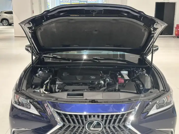 Lexus ES 2023 Model 260 Superior Edition – фото 9