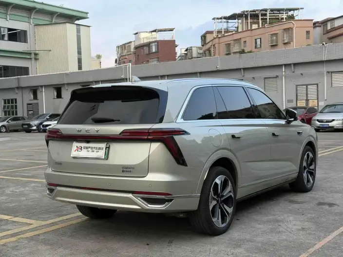 Wey Blue Mountain 2023 Model 4WD Ultra-long Endurance – фото 7