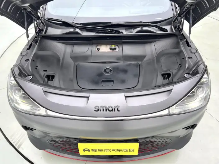 smart #1 2022 Model BRABUS Performance version – фото 10