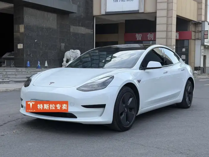 Model 3 2022 Model Rear-wheel drive version – фото 1