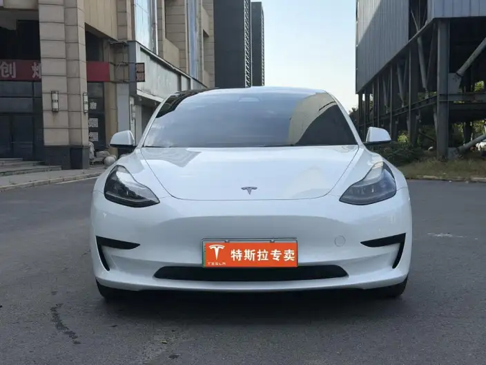 Model 3 2022 Model Rear-wheel drive version – фото 2