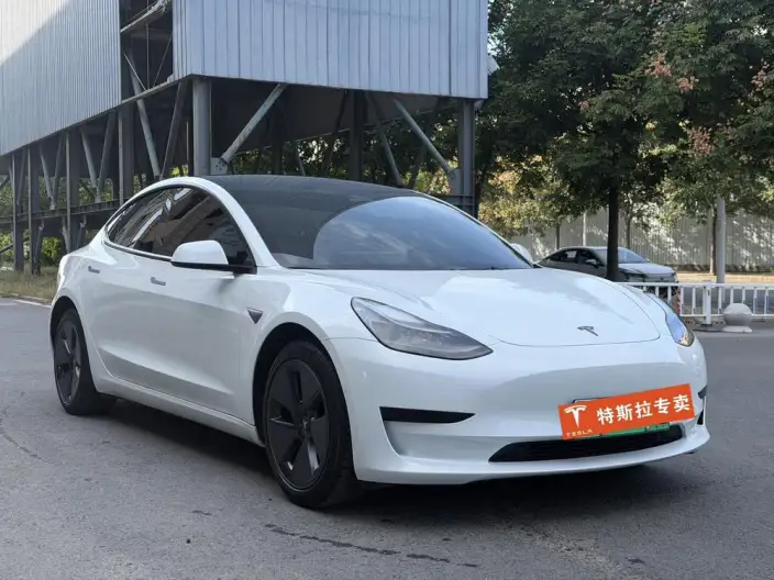 Model 3 2022 Model Rear-wheel drive version – фото 3