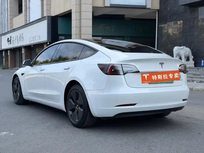 Model 3 2022 Model Rear-wheel drive version – фото 4