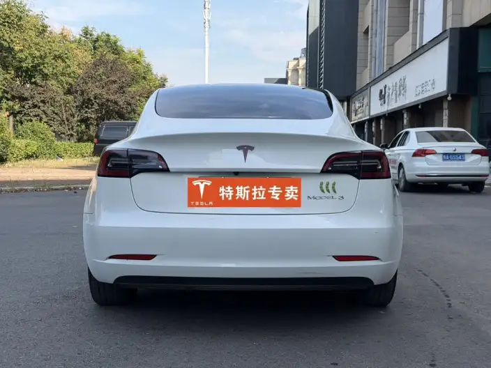 Model 3 2022 Model Rear-wheel drive version – фото 5