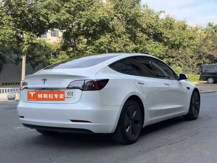 Model 3 2022 Model Rear-wheel drive version – фото 6